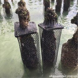 Pieux de bouchot | Cône de protection Mytilus-Protect®
